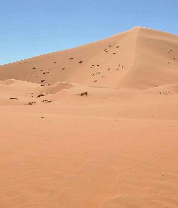 maventur_dunas_merzouga