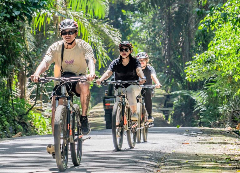 Tours Guiados en Bicicleta electrica en Ubud Bali Maventur Travel