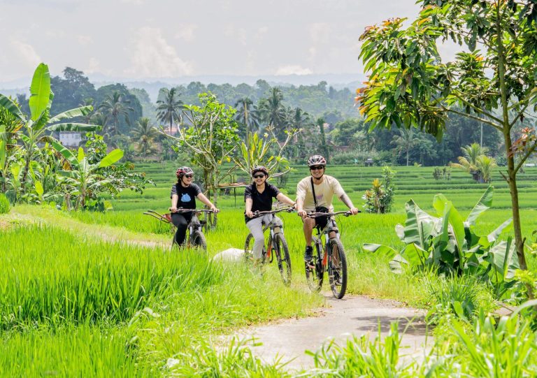 Tours Guiados en Bicicleta en Ubud Bali Maventur Travel