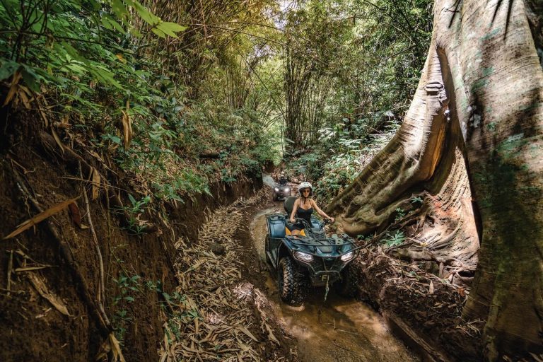 actividad en ubud bali indonesia en quad atv tour maventur travel